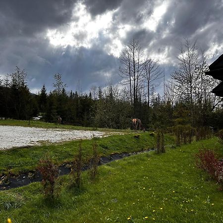 Apartamenty Willa Nika Zakopane Exteriör bild