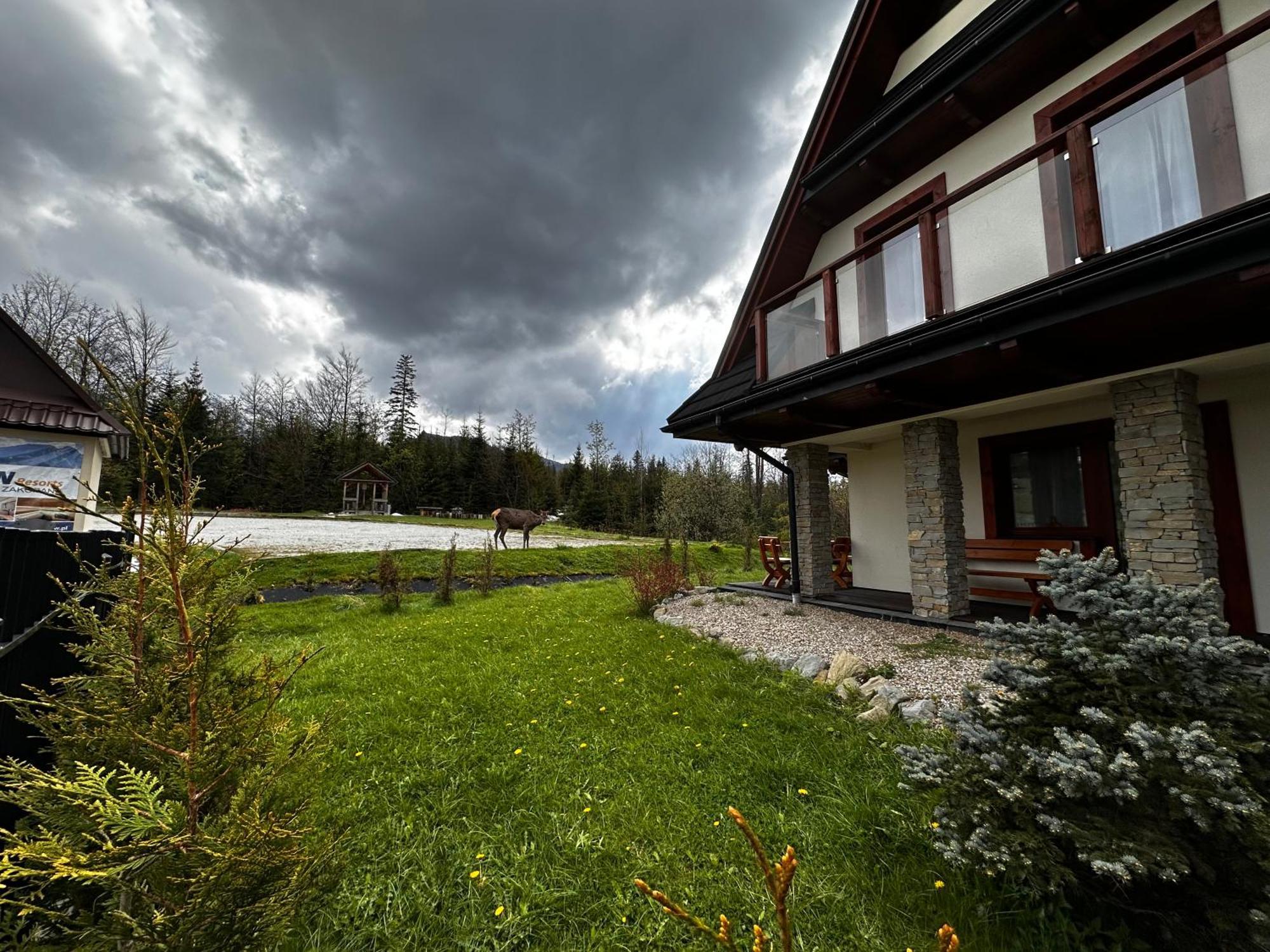 Apartamenty Willa Nika Zakopane Exteriör bild